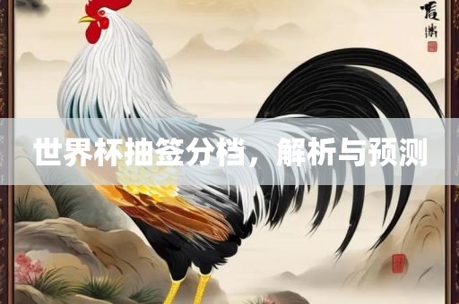世界杯抽签分档，解析与预测