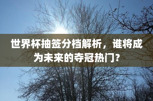 chenyibo 第7页