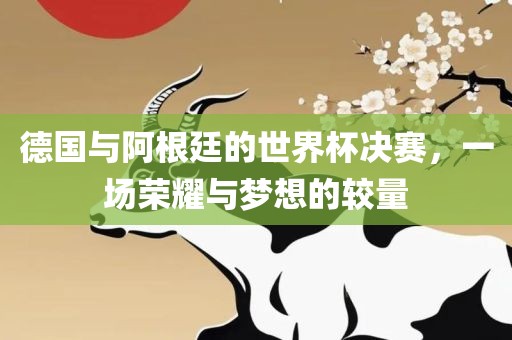 德国与阿根廷江门市永晋源无纺布有限公司的世界杯决赛，一场荣耀与梦想的较量