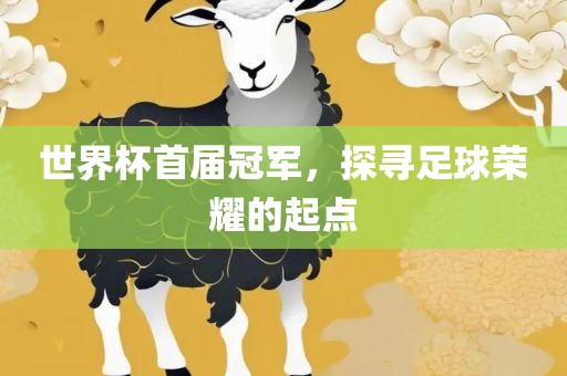 世界杯首届冠军，探寻足球荣耀的起点