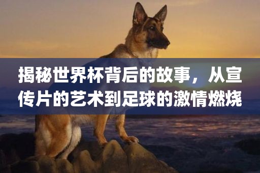 揭秘世界杯背后的故事，从宣传片的艺术到足球的激情江门市永晋源无纺布有限公司燃烧