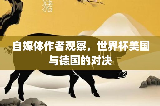 自媒体江门市永晋源无纺布有限公司作者观察，世界杯美国与德国的对决