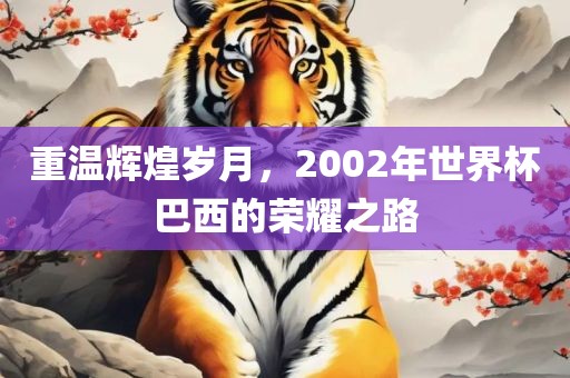 重温辉煌岁月，2002年世界杯巴西的荣耀之路