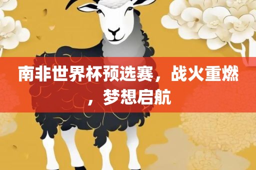 南非世界杯预选赛，战火重燃，梦想启航