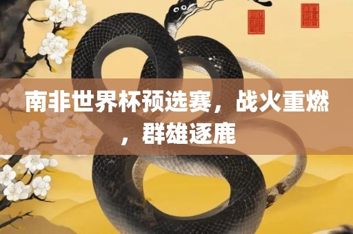 南非世界杯预选赛，战火重燃，群雄逐鹿