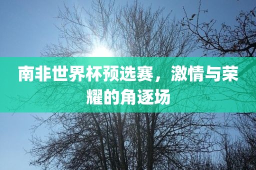 南非世界杯预选赛，激情与荣耀的角逐场