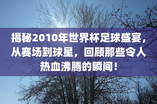 揭秘2010年世界杯足球盛宴，从赛场到球星，回顾那些令人热血沸腾的瞬间！