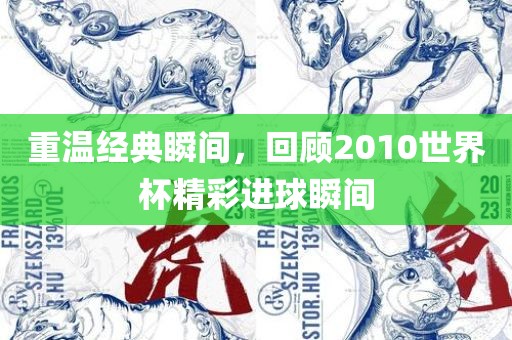 重温经典瞬间，回顾2010世界杯精彩进球瞬间