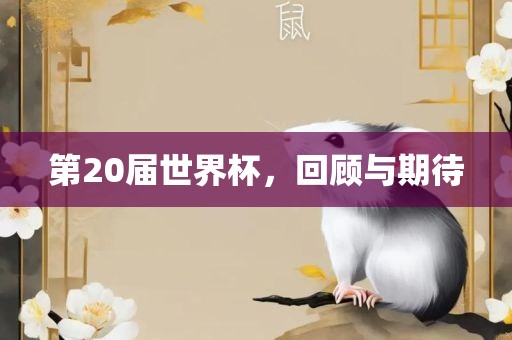 第20届世界杯，回顾与期待