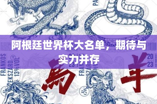 阿根廷世界杯大名单，期待与实力并存