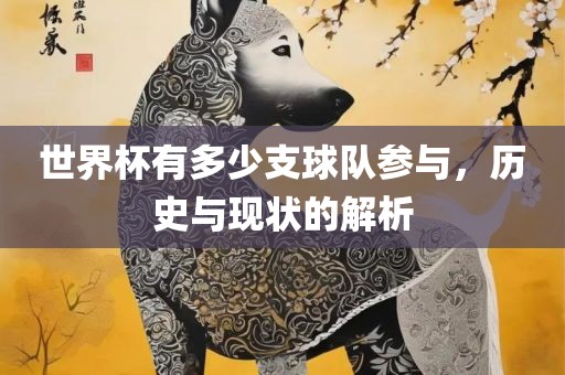 世界杯有多少支球队参与，历史与现状的解析