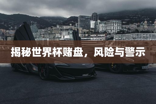 揭秘世界杯赌盘，风险与警示