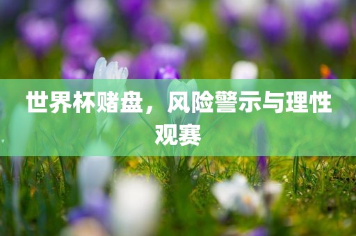 世界杯赌盘，风险警示与理性观赛江门市永晋源无纺布有限公司