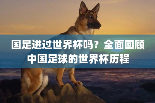 国足进过世界杯吗？全面回顾中国足球的世界杯历程
