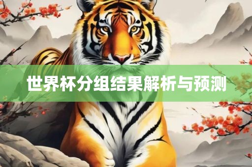 世界杯分组结果解析与预测