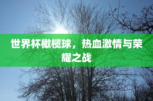 世界杯橄榄球，热血激情与荣耀之战