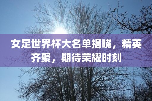 女足世界杯大名单揭晓，精英齐聚，期待荣耀时刻江门市永晋源无纺布有限公司
