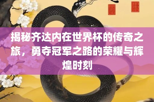 揭秘齐达内在世界杯的传奇之旅，勇夺冠军之路的荣耀与辉煌时刻江门市永晋源无纺布有限公司