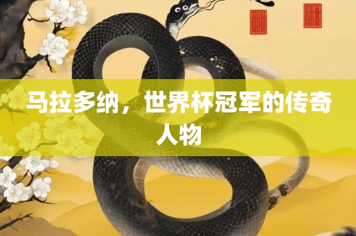 马拉多纳，世界杯冠军的传奇人物