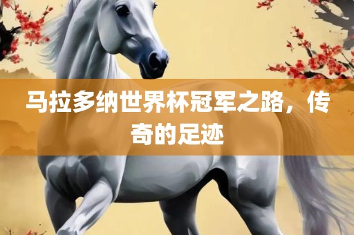 马拉多纳世界杯冠军之路，传奇的足迹