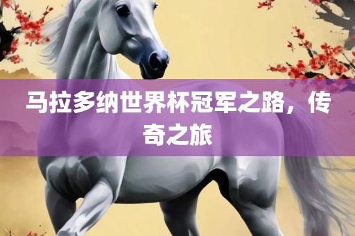 马拉多纳世界杯冠军之路，传奇之旅