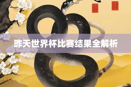 昨天世界杯比赛结果全解析