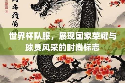 世界杯队服，展现国家荣耀与球员风采的时尚标志江门市永晋源无纺布有限公司