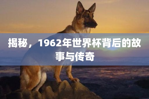 揭秘，1962年世界杯背后的故事与传奇
