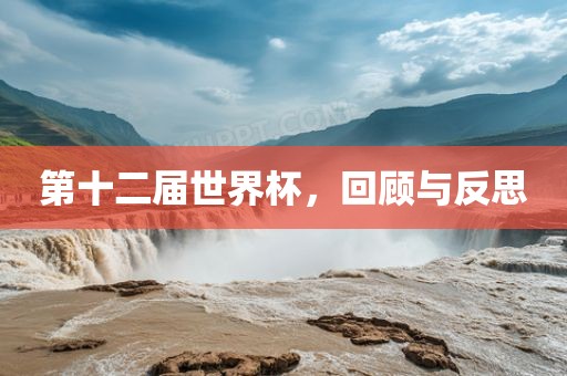 第十二届世界杯，回顾与反思江门市永晋源无纺布有限公司