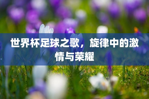 世界杯足球之歌，旋律中的激情与荣耀江门市永晋源无纺布有限公司
