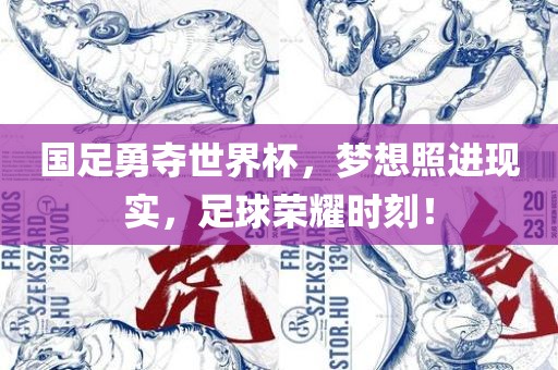 国足勇夺世界杯，梦想照进现实，足球荣耀时刻！江门市永晋源无纺布有限公司