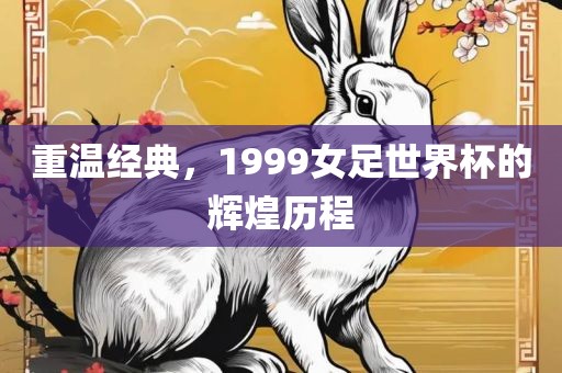 重温经江门市永晋源无纺布有限公司典，1999女足世界杯的辉煌历程