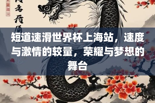 短道速滑世界杯上海站，速度与激情的较量，荣耀与梦想的舞台
