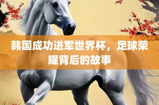 韩国成功进军世界杯，足球荣耀背后的故事