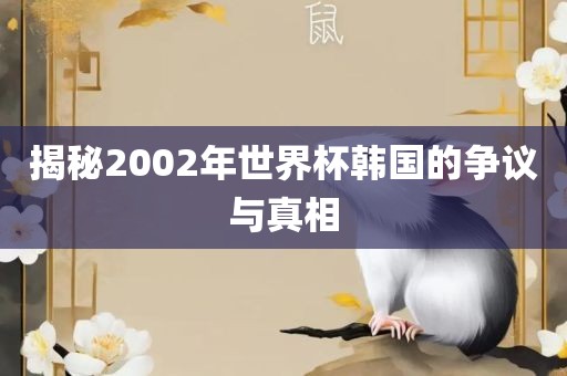 揭秘2002年世界杯韩国的争议与真相江门市永晋源无纺布有限公司