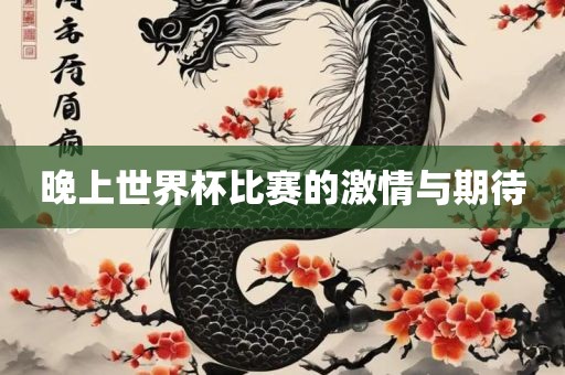 晚上世界杯比赛的激情与期待