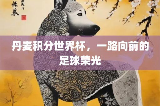 丹麦积分世界杯，一路向前的足球荣光