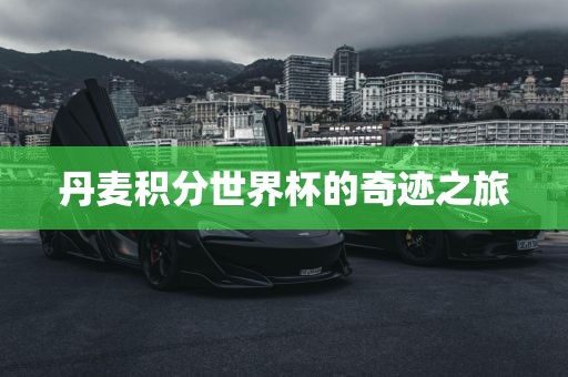 丹麦积分世界杯的奇迹之旅江门市永晋源无纺布有限公司