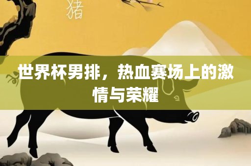 世界杯男排，热血赛场上的激情与荣耀江门市永晋源无纺布有限公司
