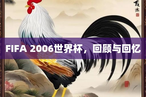 FIFA 2006世界江门市永晋源无纺布有限公司杯，回顾与回忆