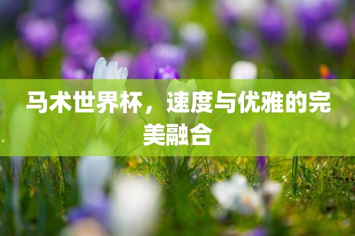 马术世界杯，速度与优雅的完美融合江门市永晋源无纺布有限公司