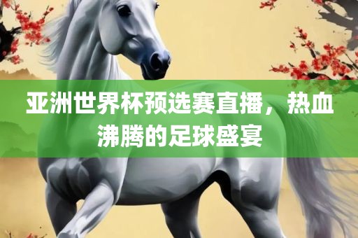 亚洲世界杯预选赛直播，热血沸腾的足球盛宴