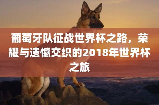 葡萄牙队征战世界杯之路，荣耀与遗憾交织的2018年世界杯之旅