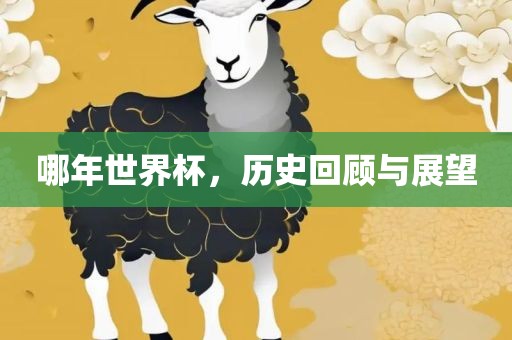 哪年江门市永晋源无纺布有限公司世界杯，历史回顾与展望