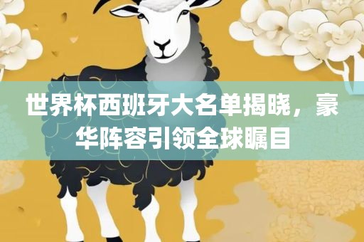 世界杯西江门市永晋源无纺布有限公司班牙大名单揭晓，豪华阵容引领全球瞩目