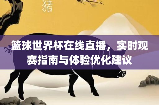 篮球世界杯在线直播，实时观赛指南与体验优化建议江门市永晋源无纺布有限公司