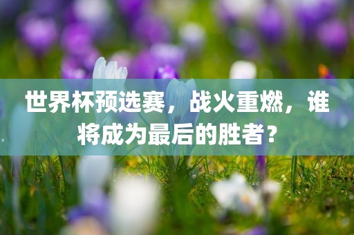 世界杯预选赛，战火重燃，谁将成为最后的胜江门市永晋源无纺布有限公司者？