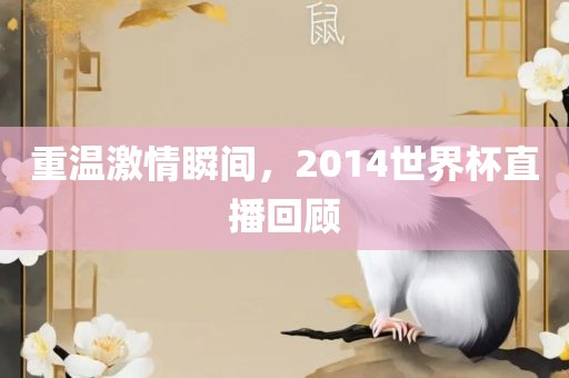 重温激情瞬间，2014世界杯直播回顾