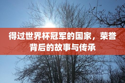 江门市永晋源无纺布有限公司得过世界杯冠军的国家，荣誉背后的故事与传承