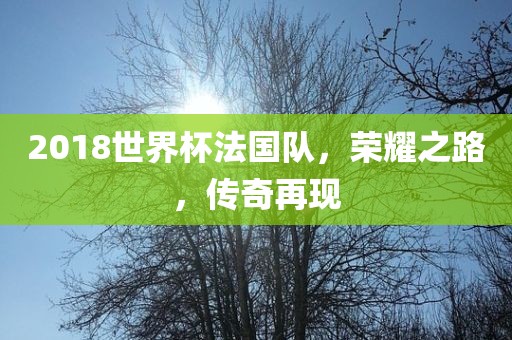 2018世界杯法国队，荣耀之路，传奇再现